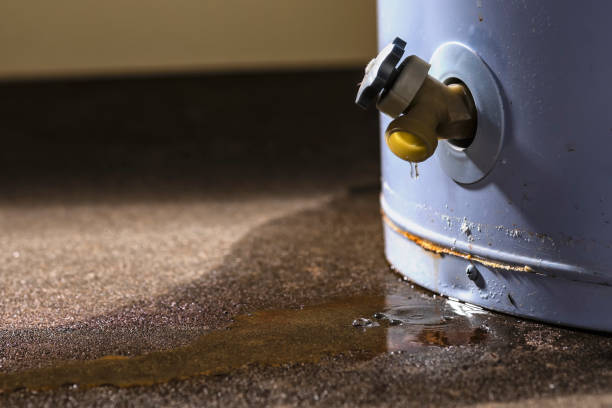 Best Commercial water damage restoration  in Des Peres, MO