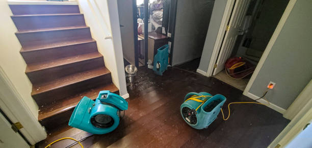Best Flood damage cleanup  in Des Peres, MO