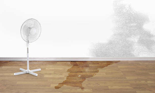 Best Local water damage restoration  in Des Peres, MO
