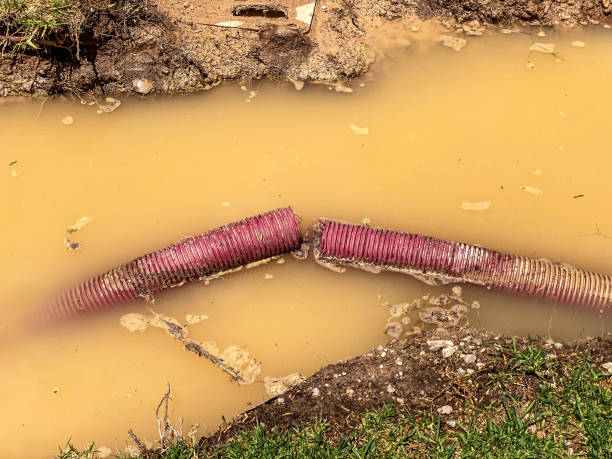  Des Peres, MO Water damage restoration Pros