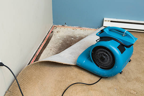 Best Basement water damage restoration  in Des Peres, MO